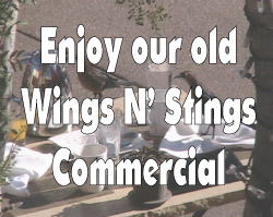 Old Arizona Wings N' Stings Commercial Video